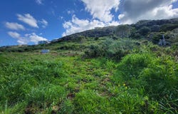 Villanova, Corsica 20167