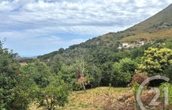 Nessa, Corsica 20225
