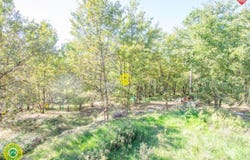 Le Buisson-de-Cadouin, Aquitaine 24480