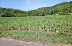 Auberives-en-Royans, Auvergne-Rhône-Alpes 38680