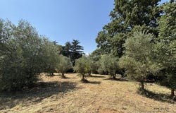 Ganges, Languedoc-Roussillon 34190