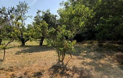 Saint-Remy, Poitou-Charentes 79410