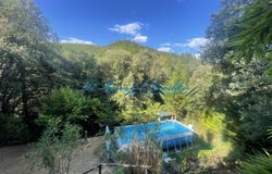 Saint-André-de-Valborgne, Languedoc-Roussillon 30940