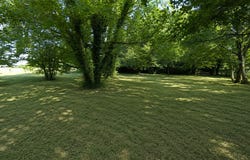 FONGRAVE, Nouvelle-Aquitaine 47260