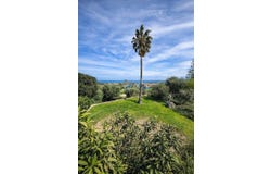 Borgo, Haute-Corse 20290