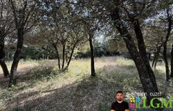 Sussargues, Languedoc-Roussillon 34160