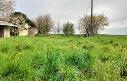 Vouzailles, Vienne 86170