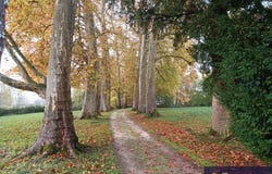 Baignes-Sainte-Radegonde, Poitou-Charentes 16360