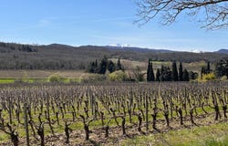 Routier, Languedoc-Roussillon 11240