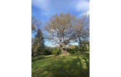 Grignan, Rhône-Alpes 26230