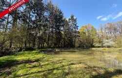 Saint-Cosme-En-Vairais, Pays de la Loire 72110