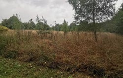 Meslan, Morbihan 56320
