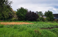 Rives-du-Couesnon, Brittany 35140