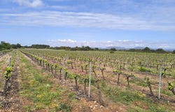 Cazedarnes, Hérault 34460