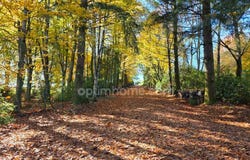 Châteauneuf-la-Forêt, Limousin 87130