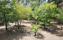 Montlieu-La-Garde, Poitou-Charentes 17210