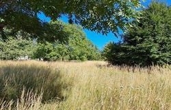 Mazamet, Midi-Pyrénées 81200