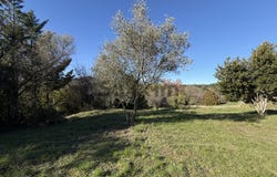 Alès, Occitanie 30100