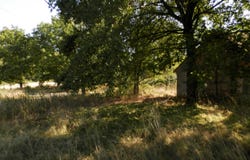 Saint-Germain-du-Bois, Saône-et-Loire 71330