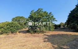 Mauze-Sur-Le-Mignon, Poitou-Charentes 79210