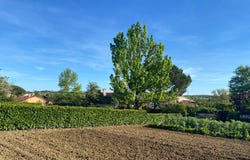 MONTRABE, Occitanie 31850