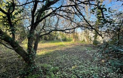 LE BERNARD, Pays de la Loire 85560