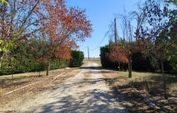 Langon, Aquitaine 33210