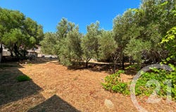 Monticello, Corsica 20220