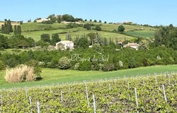 Gaillac, Midi-Pyrénées 81600