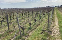 Saint-Sulpice-De-Faleyrens, Aquitaine 33330
