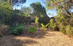 Vailhan, Languedoc-Roussillon 34320