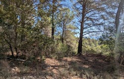 Brunet, Alpes-de-Haute-Provence 04210