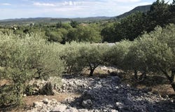 Saint-Hippolyte-du-Fort, Gard 30170
