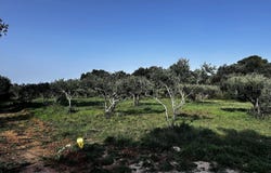 Uzès, Languedoc-Roussillon 30700