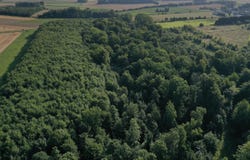 Arras, Nord-Pas-de-Calais 62000