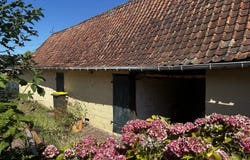 Bezinghem, Pas-de-Calais 62650