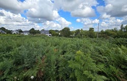 Trégunc, Finistère 29910