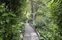 Buis-les-Baronnies, Auvergne-Rhône-Alpes 26170