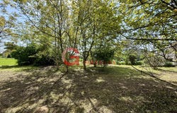 Sélestat, Bas-Rhin 67600