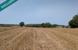 Albi, Midi-Pyrénées 81000