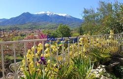 Prades, Languedoc-Roussillon 66500