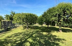 CARIGNAN DE BORDEAUX, Aquitaine 33360