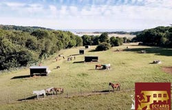 Plurien, Brittany 22240