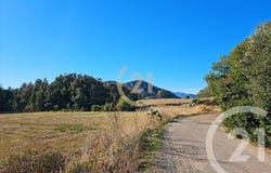 Patrimonio, Corsica 20253