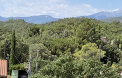 Montauriol, Languedoc-Roussillon 66300
