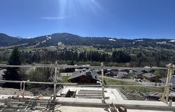 Praz-sur-Arly, Auvergne-Rhône-Alpes 74120