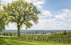 Saint-Émilion, Nouvelle-Aquitaine 33330