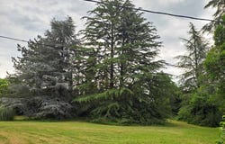 Laroque-Timbaut, Aquitaine 47340