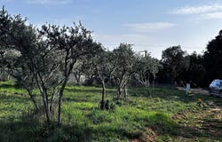 Uzès, Languedoc-Roussillon 30700