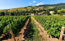 Juliénas, Rhône-Alpes 69840